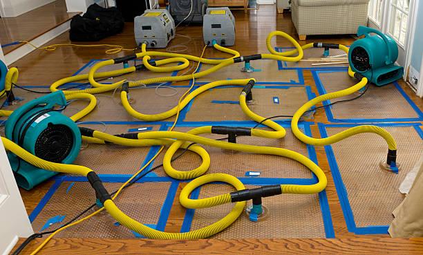 Professional Sewage Cleanup technician working in North Miami, FL